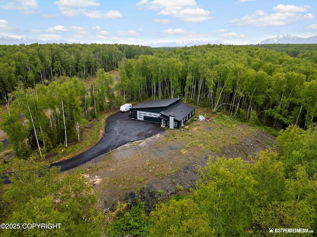 9904 W Aircraft Ct, Wasilla, AK 99623 - photo 47