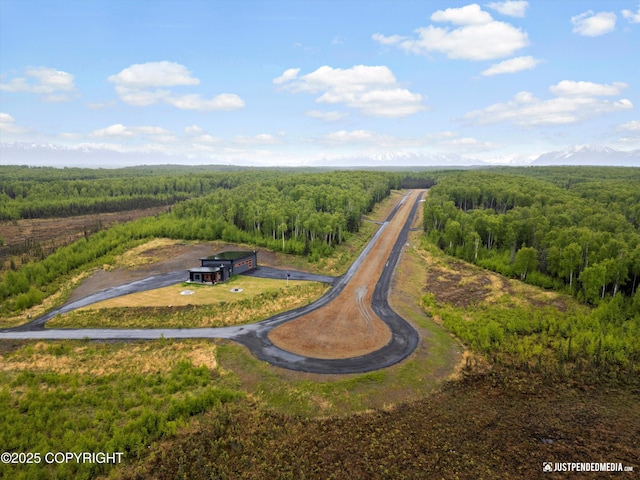 9904 W Aircraft Ct, Wasilla, AK 99623 - photo 51