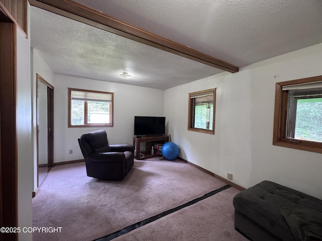 12492 Camelot Dr, Seward, AK 99664 - photo 11
