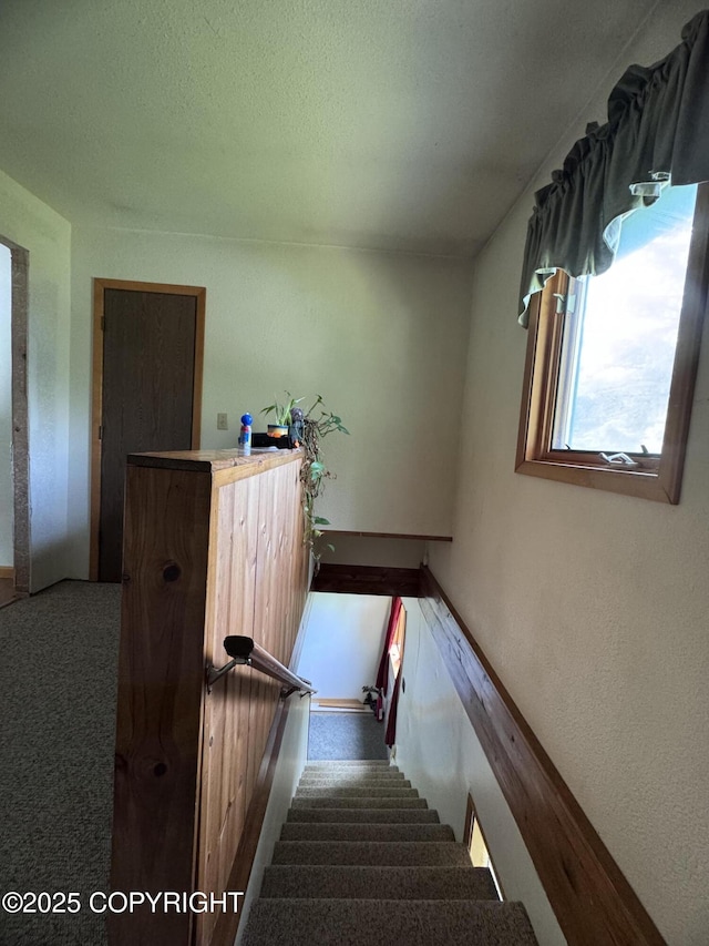 12492 Camelot Dr, Seward, AK 99664 - photo 4