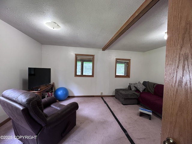 12492 Camelot Dr, Seward, AK 99664 - photo 10