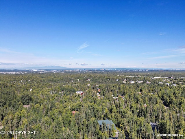 10151 Evergreen Tree St, Anchorage, AK 99507 - photo 38