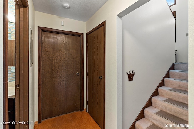 10151 Evergreen Tree St, Anchorage, AK 99507 - photo 28