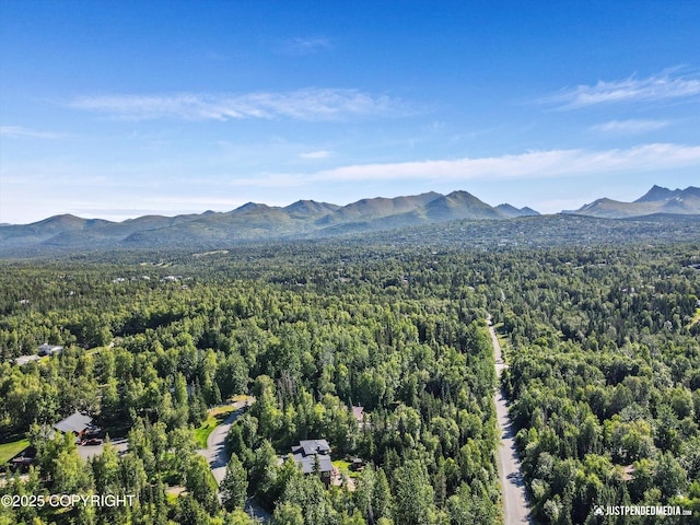 10151 Evergreen Tree St, Anchorage, AK 99507 - photo 40