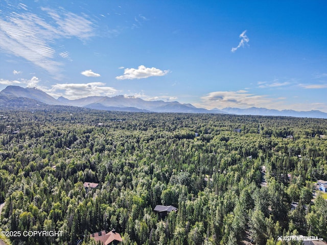 10151 Evergreen Tree St, Anchorage, AK 99507 - photo 37