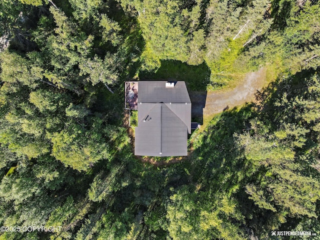 10151 Evergreen Tree St, Anchorage, AK 99507 - photo 36