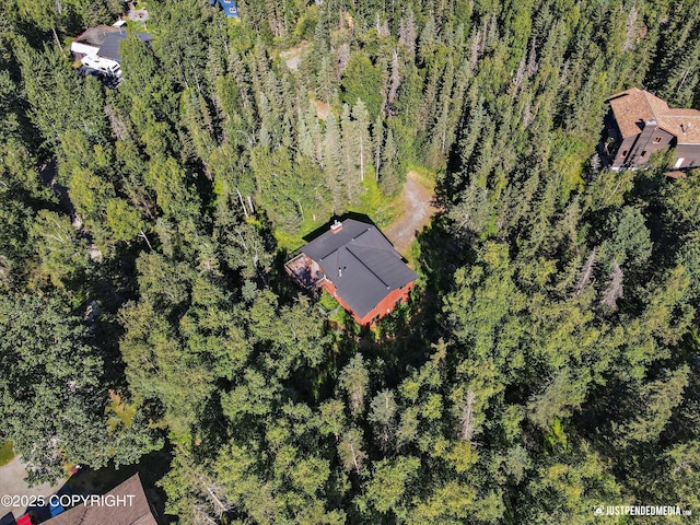 10151 Evergreen Tree St, Anchorage, AK 99507 - photo 2
