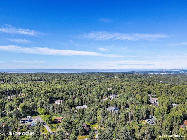 10151 Evergreen Tree St, Anchorage, AK 99507 - photo 39