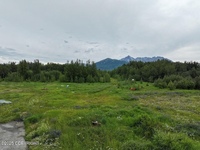 2600 N Palmer Fishhook Rd, Palmer, AK 99645 - photo 1
