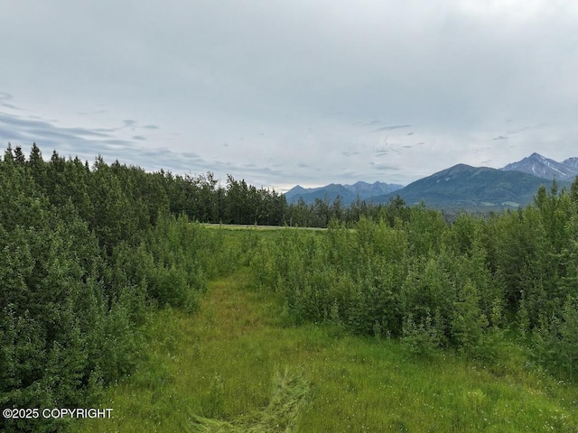 2600 N Palmer Fishhook Rd, Palmer, AK 99645 - photo 4