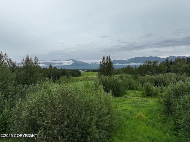 2600 N Palmer Fishhook Rd, Palmer, AK 99645 - photo 5