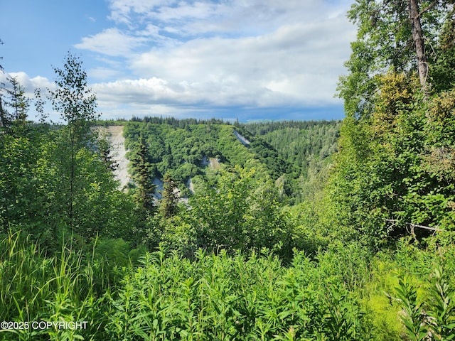 000 Fox Crk, Homer, AK 99603 - photo 19