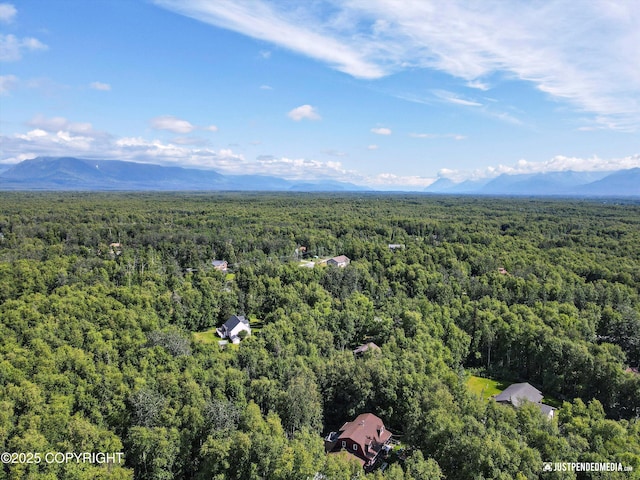 4539 E Kilo Dr, Wasilla, AK 99654 - photo 51