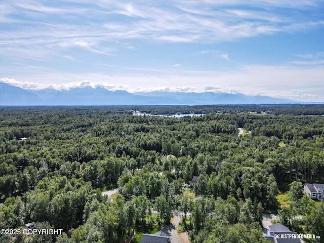 4539 E Kilo Dr, Wasilla, AK 99654 - photo 52
