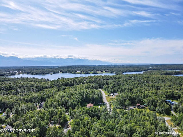 4539 E Kilo Dr, Wasilla, AK 99654 - photo 54