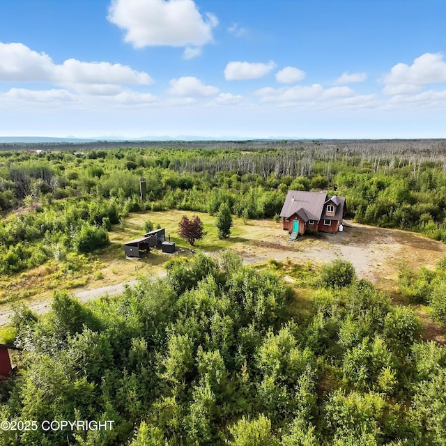 26200 W Sharen Dr, Willow, AK 99688 - photo 12