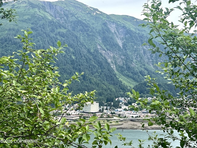 3012 Goodwin Rd, Juneau, AK 99801 - photo 2