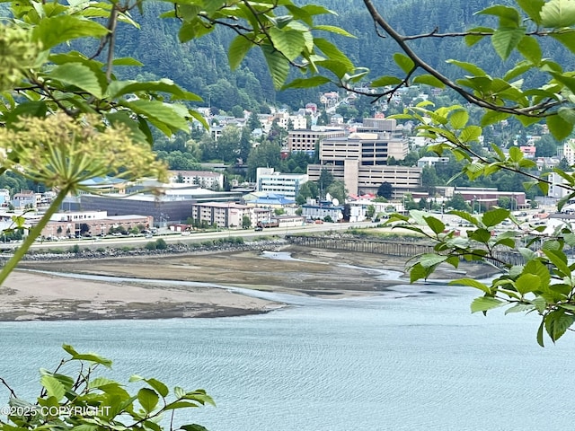 3012 Goodwin Rd, Juneau, AK 99801 - photo 1