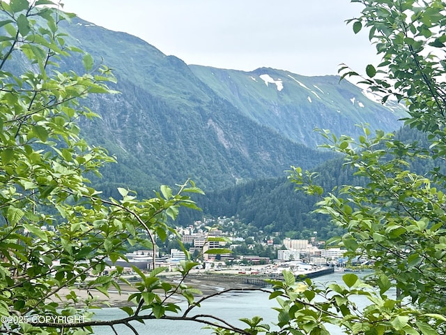 3012 Goodwin Rd, Juneau, AK 99801 - photo 3