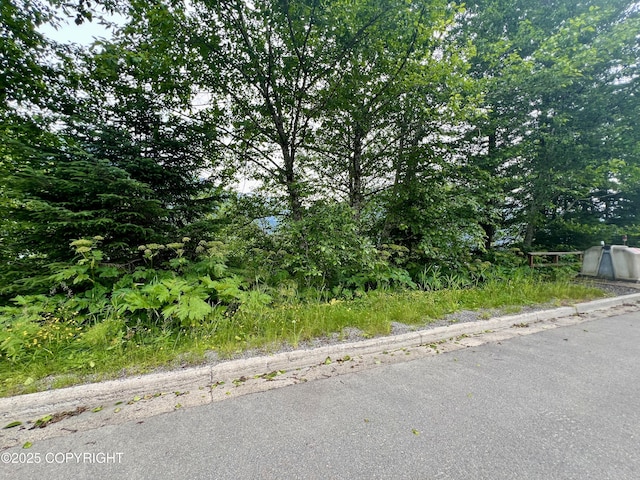 3012 Goodwin Rd, Juneau, AK 99801 - photo 4