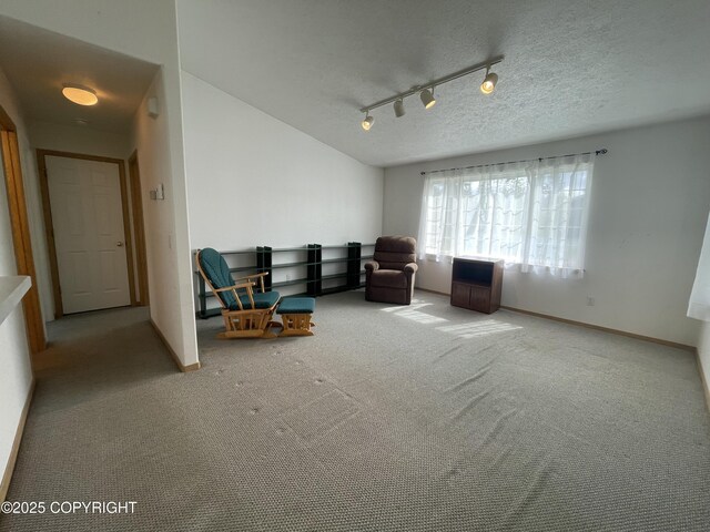 35288 Iditarod St, Soldotna, AK 99669 - photo 6