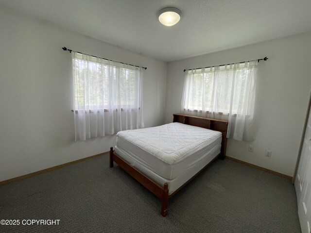 35288 Iditarod St, Soldotna, AK 99669 - photo 10