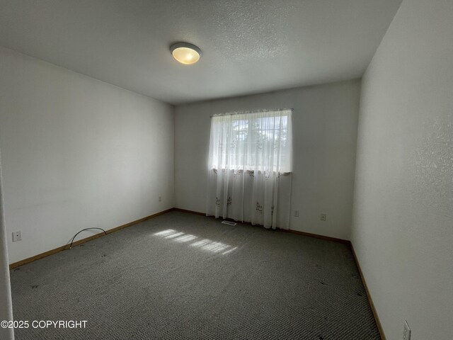 35288 Iditarod St, Soldotna, AK 99669 - photo 11