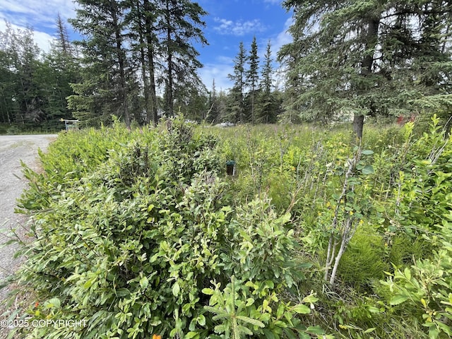 35288 Iditarod St, Soldotna, AK 99669 - photo 18