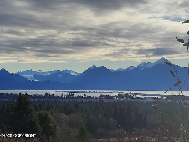 4550 Craftsman Rd, Homer, AK 99603 - photo 1
