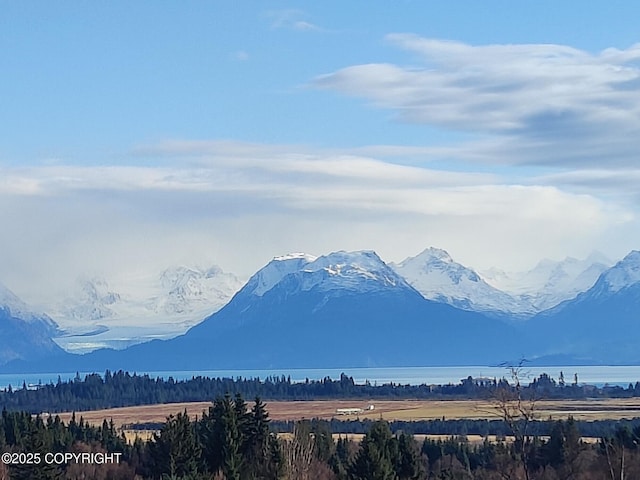 4550 Craftsman Rd, Homer, AK 99603 - photo 2