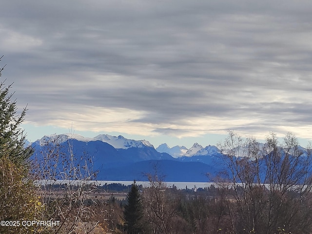 4550 Craftsman Rd, Homer, AK 99603 - photo 3