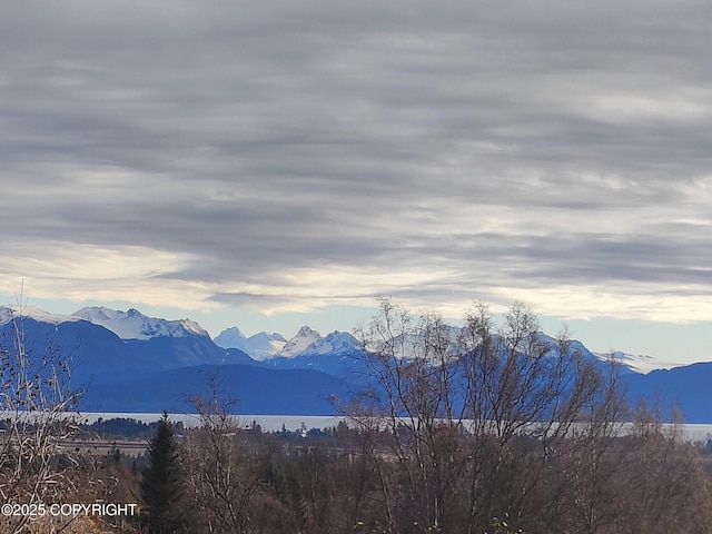 4550 Craftsman Rd, Homer, AK 99603 - photo 6