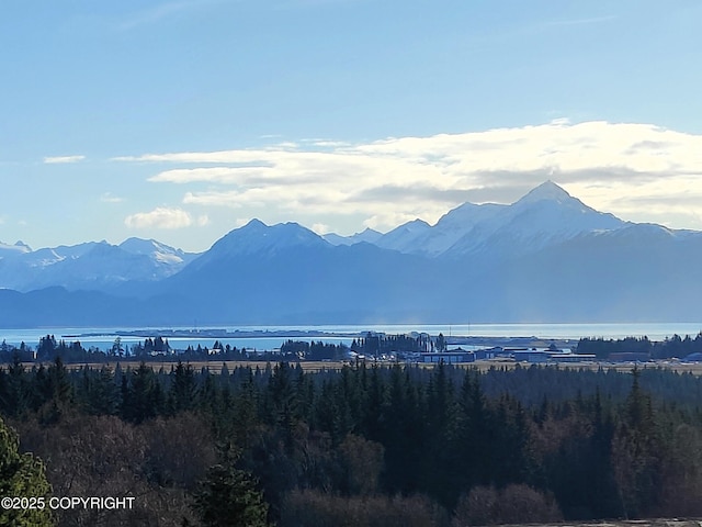 4550 Craftsman Rd, Homer, AK 99603 - photo 7