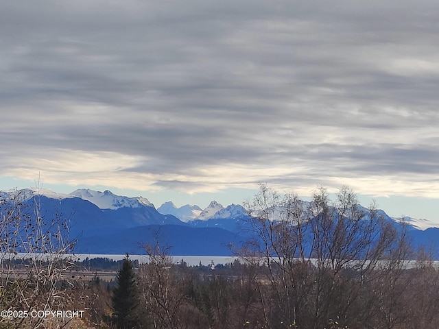 4550 Craftsman Rd, Homer, AK 99603 - photo 8
