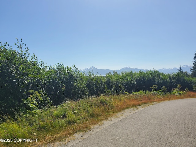 4550 Craftsman Rd, Homer, AK 99603 - photo 4