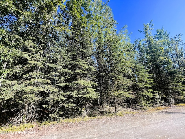 770 Martin Ave, Soldotna, AK 99669 - photo 2