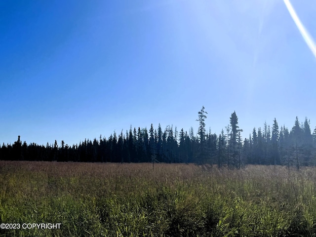 770 Martin Ave, Soldotna, AK 99669 - photo 3
