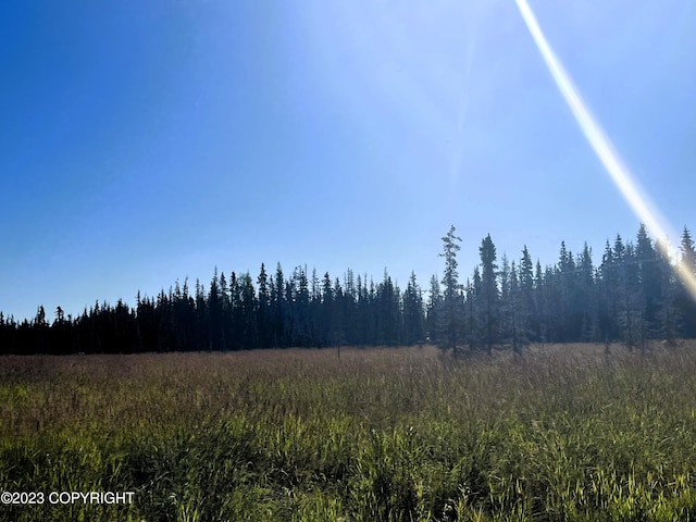770 Martin Ave, Soldotna, AK 99669 - photo 4