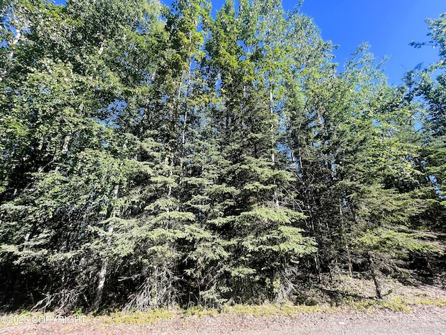 770 Martin Ave, Soldotna, AK 99669 - photo 5