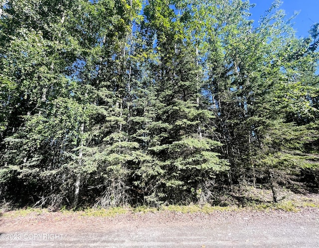 770 Martin Ave, Soldotna, AK 99669 - photo 6