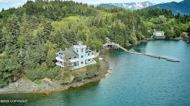 52045 Halibut Cove Rem SW, Halibut Cove, AK 99603 - photo 1