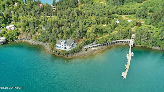 52045 Halibut Cove Rem SW, Halibut Cove, AK 99603 - photo 4