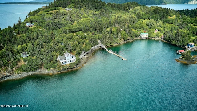 52045 Halibut Cove Rem SW, Halibut Cove, AK 99603 - photo 5