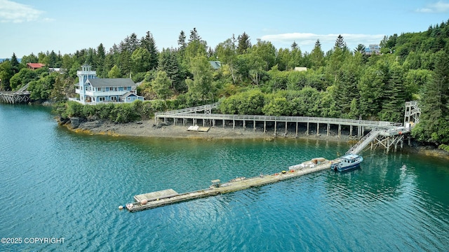 52045 Halibut Cove Rem SW, Halibut Cove, AK 99603 - photo 3