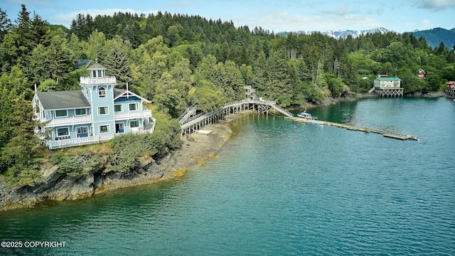 52045 Halibut Cove Rem SW, Halibut Cove, AK 99603 - photo 6