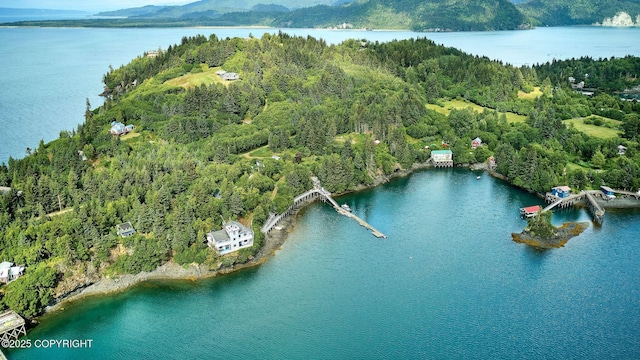 52045 Halibut Cove Rem SW, Halibut Cove, AK 99603 - photo 9