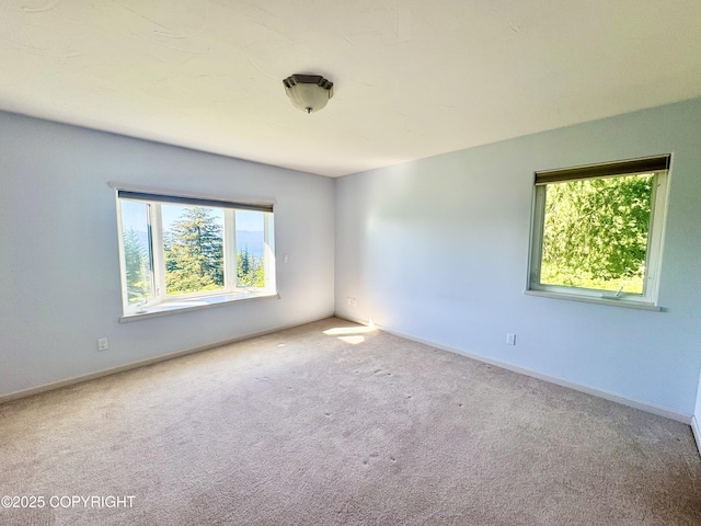 1384 Race Rd, Homer, AK 99603 - photo 21