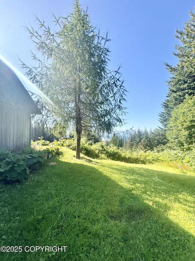 1384 Race Rd, Homer, AK 99603 - photo 35
