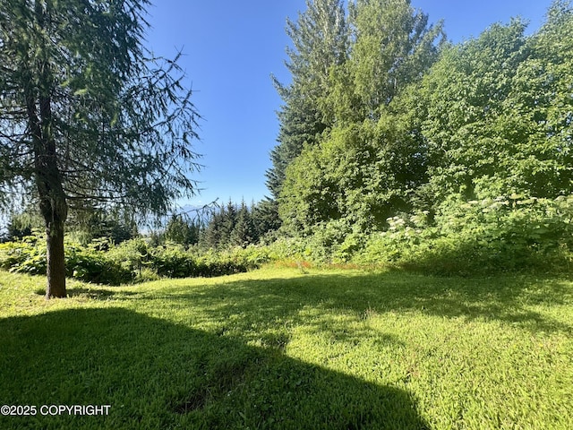 1384 Race Rd, Homer, AK 99603 - photo 36
