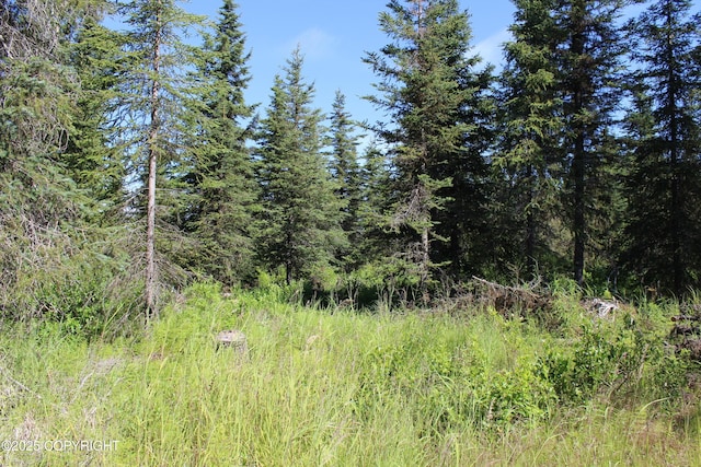38593 Taylor St, Anchor Point, AK 99556 - photo 70